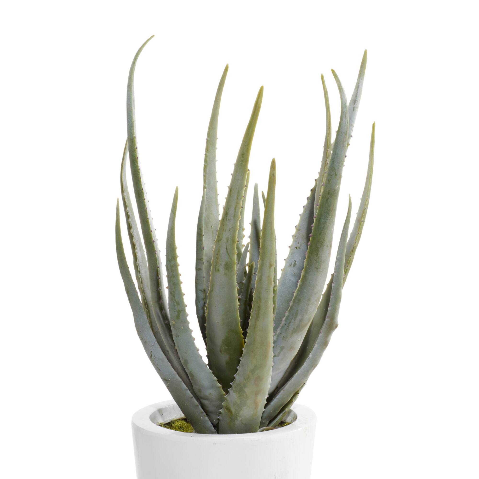 3ft. Contemporary Style Succulent Artificial Foliage in White Pot